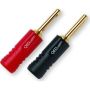 Разъемы акустические бананы QED Screwloc ABS Banana 4mm (QE1870) (пара)